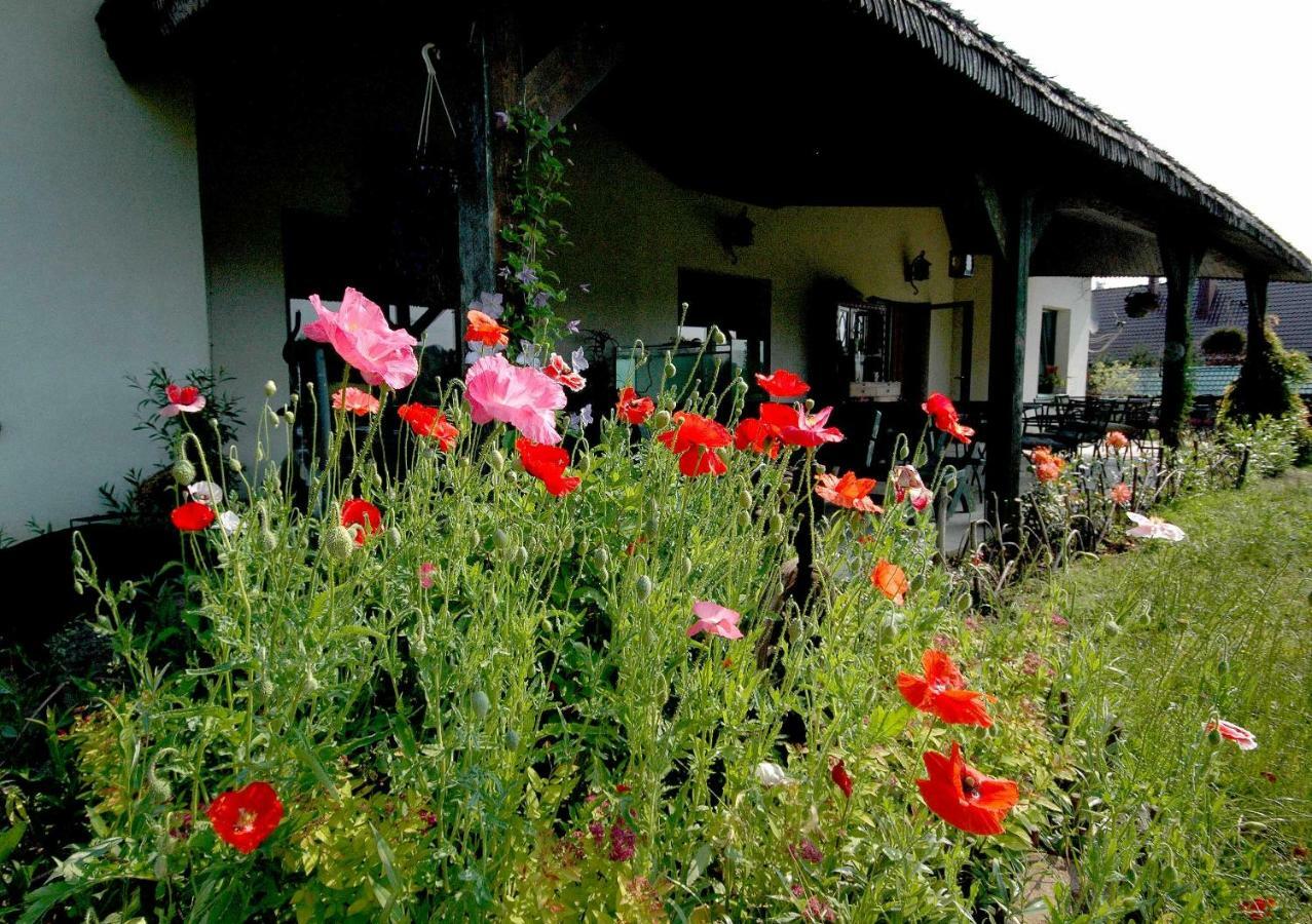 Wodne Ogrody Villa Добчице Екстериор снимка